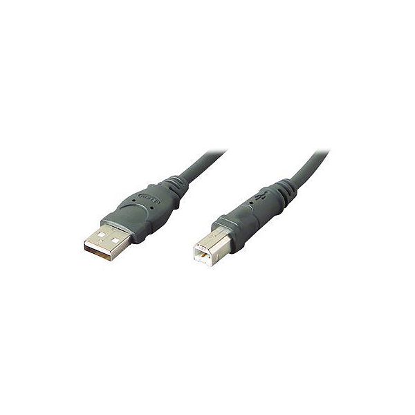 Belkin 6 Ft. Usb Cable- A/b Device