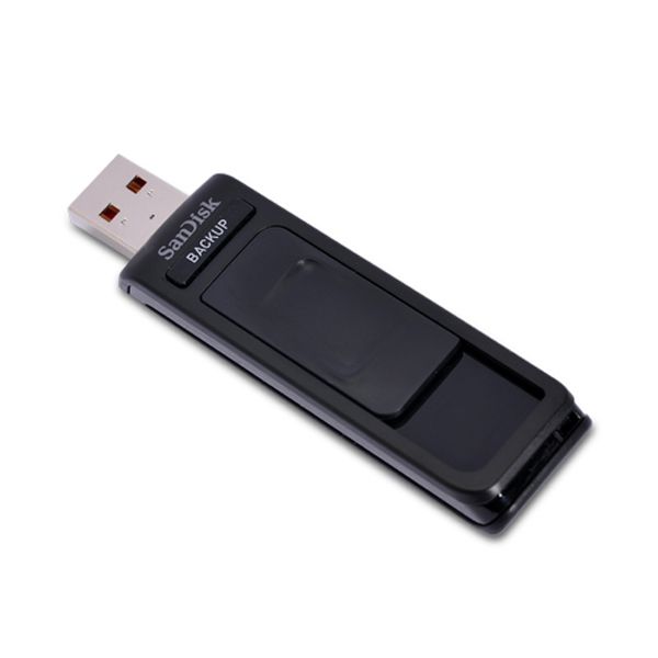 SanDisk Ultra USB 16 GB backup flash drive