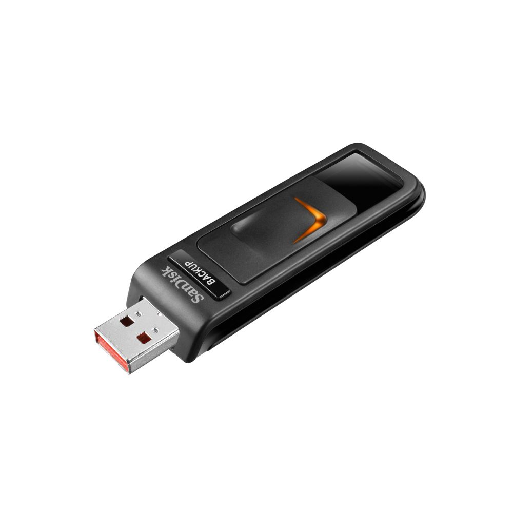 SanDisk Ultra USB 32 GB backup flash drive