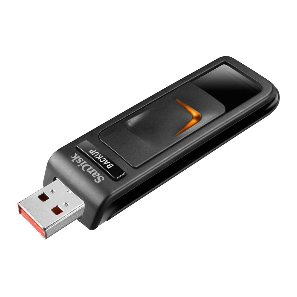 SanDisk Ultra USB 64 GB backup flash drive