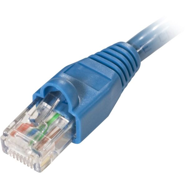 Steren 7foot Cat 6 Networking Cable at Kmart.com