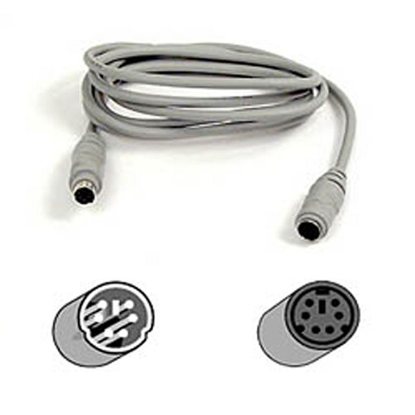 Belkin 10