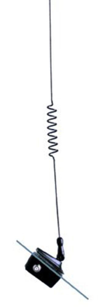  00397591000