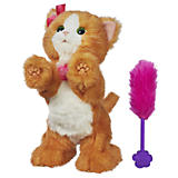 Stuffed&#x20;Animals&#x20;&amp;&#x20;Toys