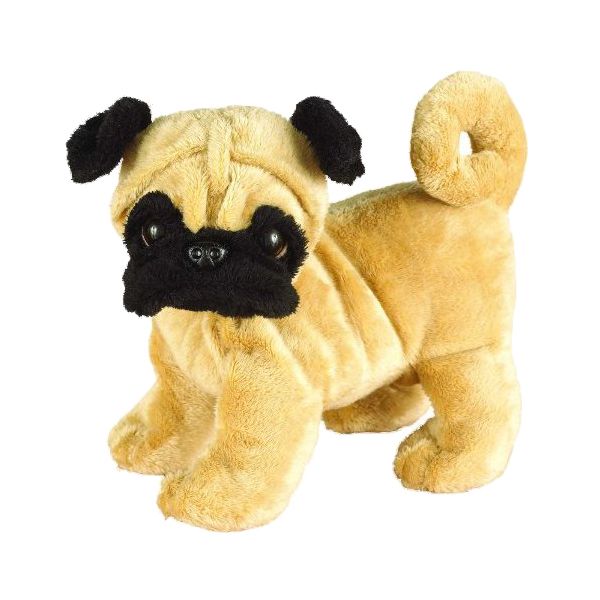 pug