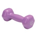 BSTVD2 2 lb. Light Purple Vinyl Dumbbell