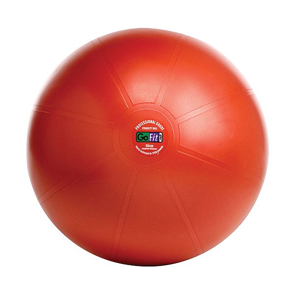 GoFit GOFIT GF-55PRO Professional Stability Ball & Core Performance