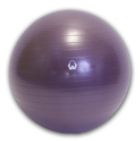 55cm 300 lb. Burst Resistant Exercise Ball
