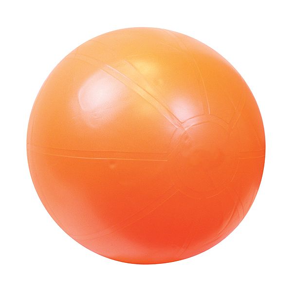 GoFit 55cm Ultimate Core Stability Ball With DVD