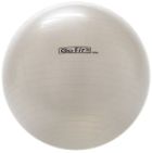65cm Exercise Ball With Pump