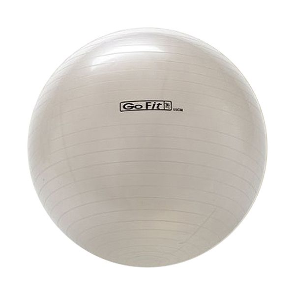 GoFit 65cm Exercise Ball With Pump