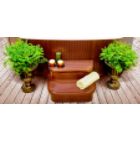 Matching Spa Entry Step for Rock Solid Series Jewel, Hydromaster & Grandmaster Spa