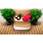Matching Spa Entry Step for the Luna Spa