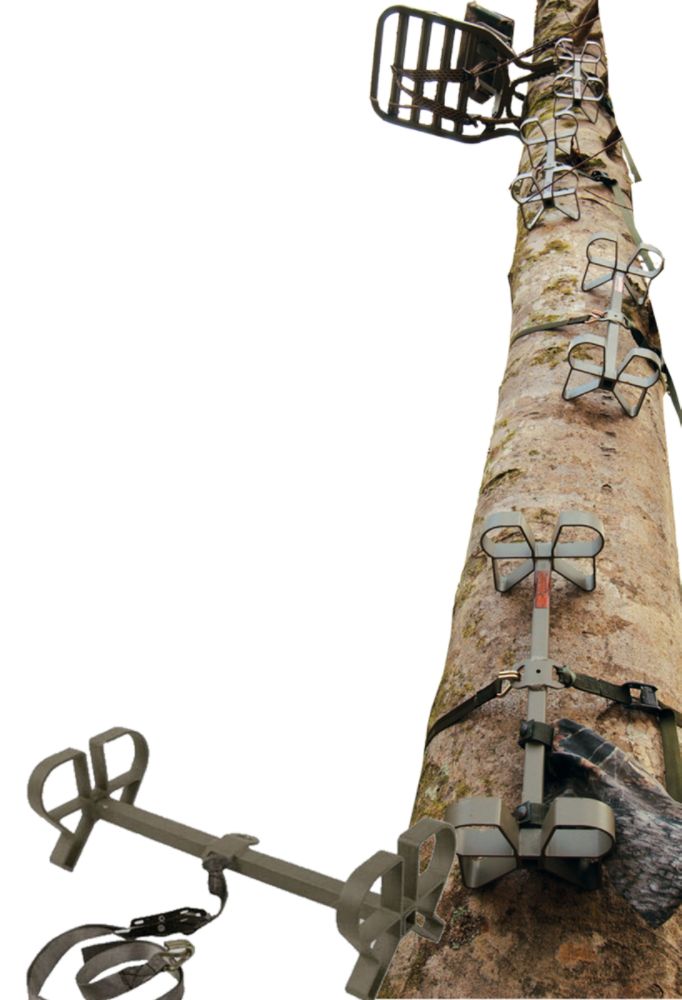 Summit Bucksteps