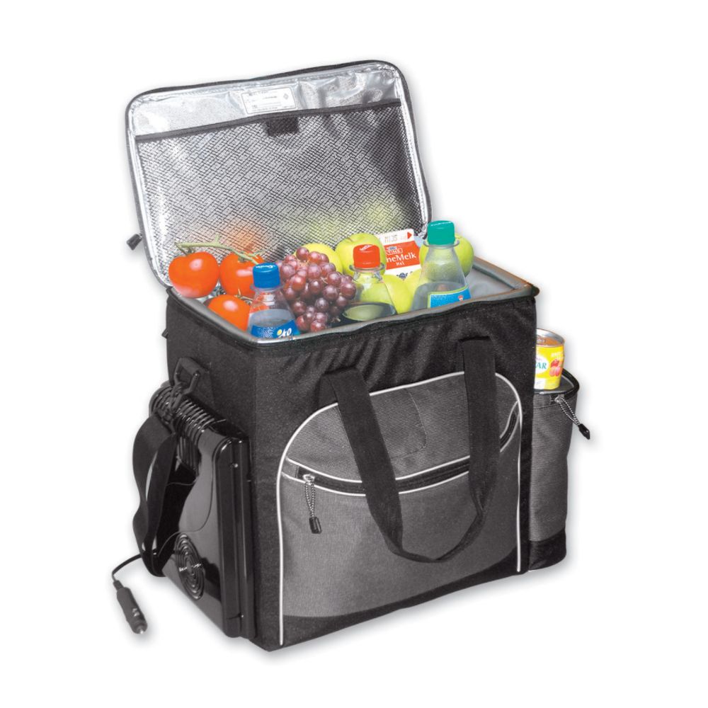 Koolatron Soft Bag Thermoelectric cooler  34 can at Sears.com