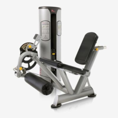 FreeMotion Epic Leg Extension