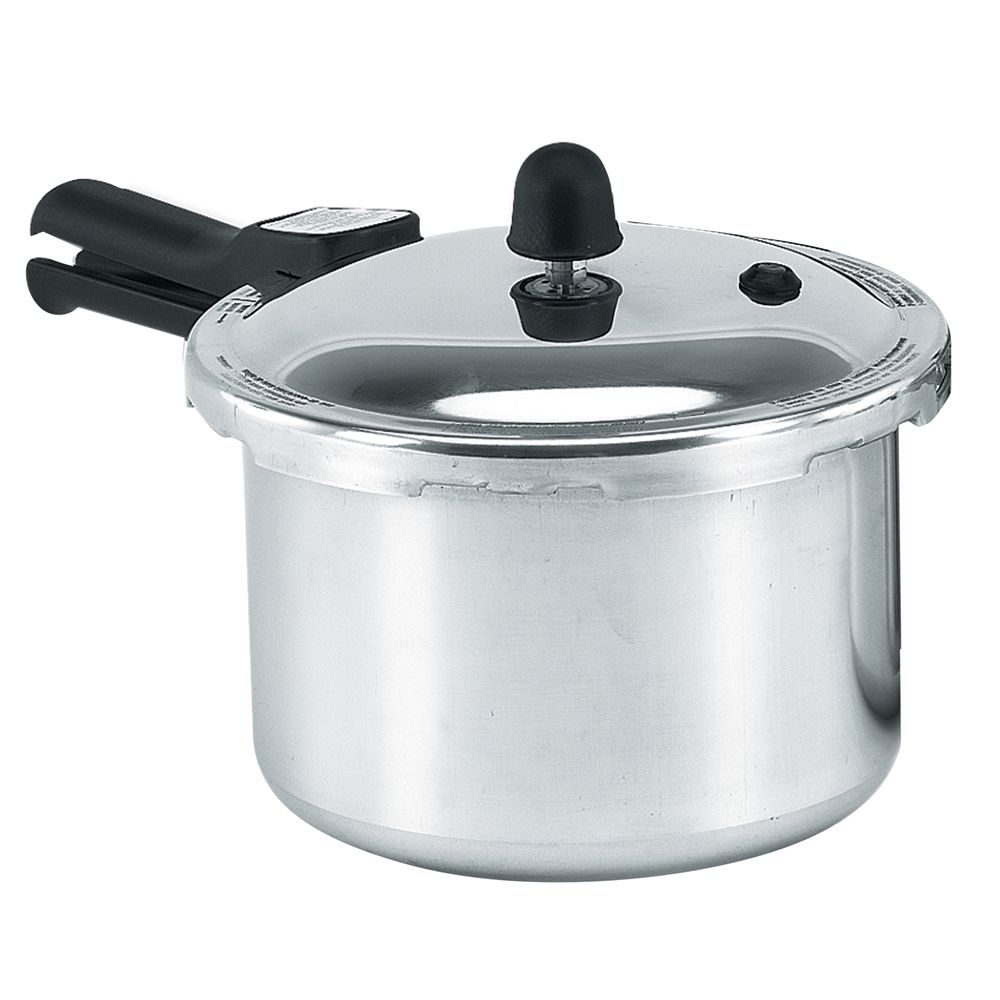 Gaunaurd 4 qt. Pressure Cooker