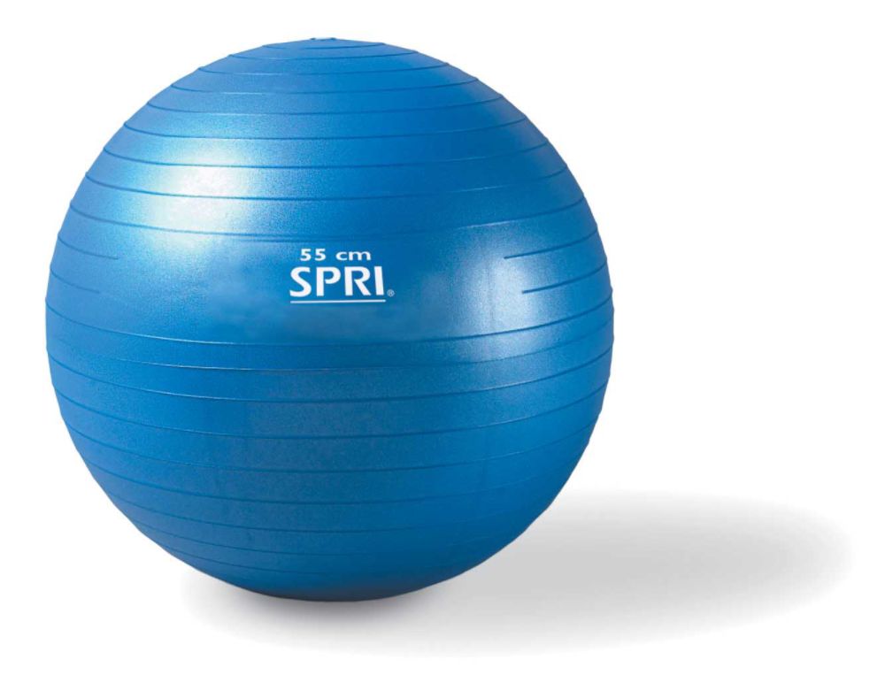 Exercise Ball With Pump & DVD - Medium
