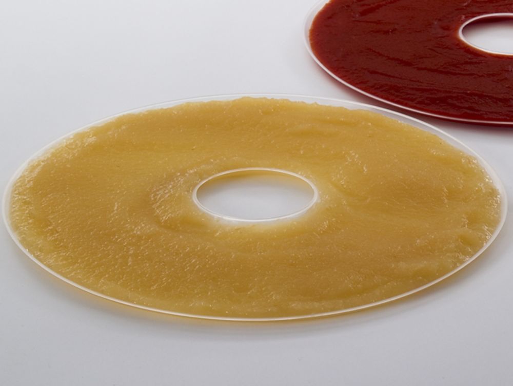 Nesco American Harvest Fruit Roll Sheet for Nesco/American Harvest FD-28JX, 35, 40, 50, 60, 61, 75PR Dehydrators- 12/pkg. at Sears.com