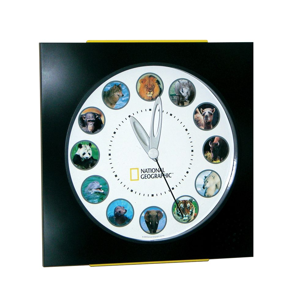 Koolatron National Geographic Animal Sounds Wall Clock at Sears.com