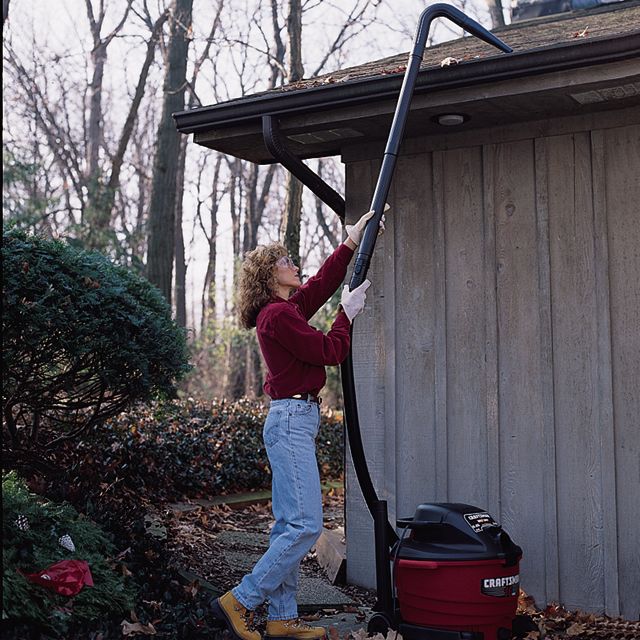 Pin On Gardening