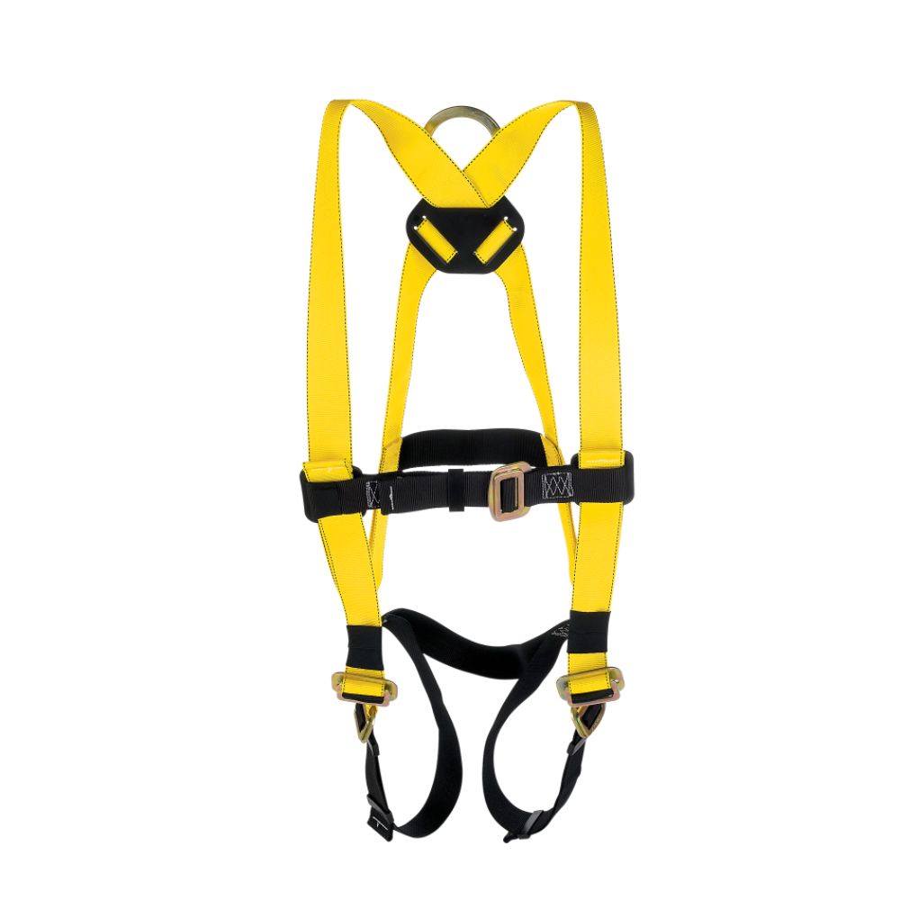 AO Safety Professional Roofing Fall Protection Kit