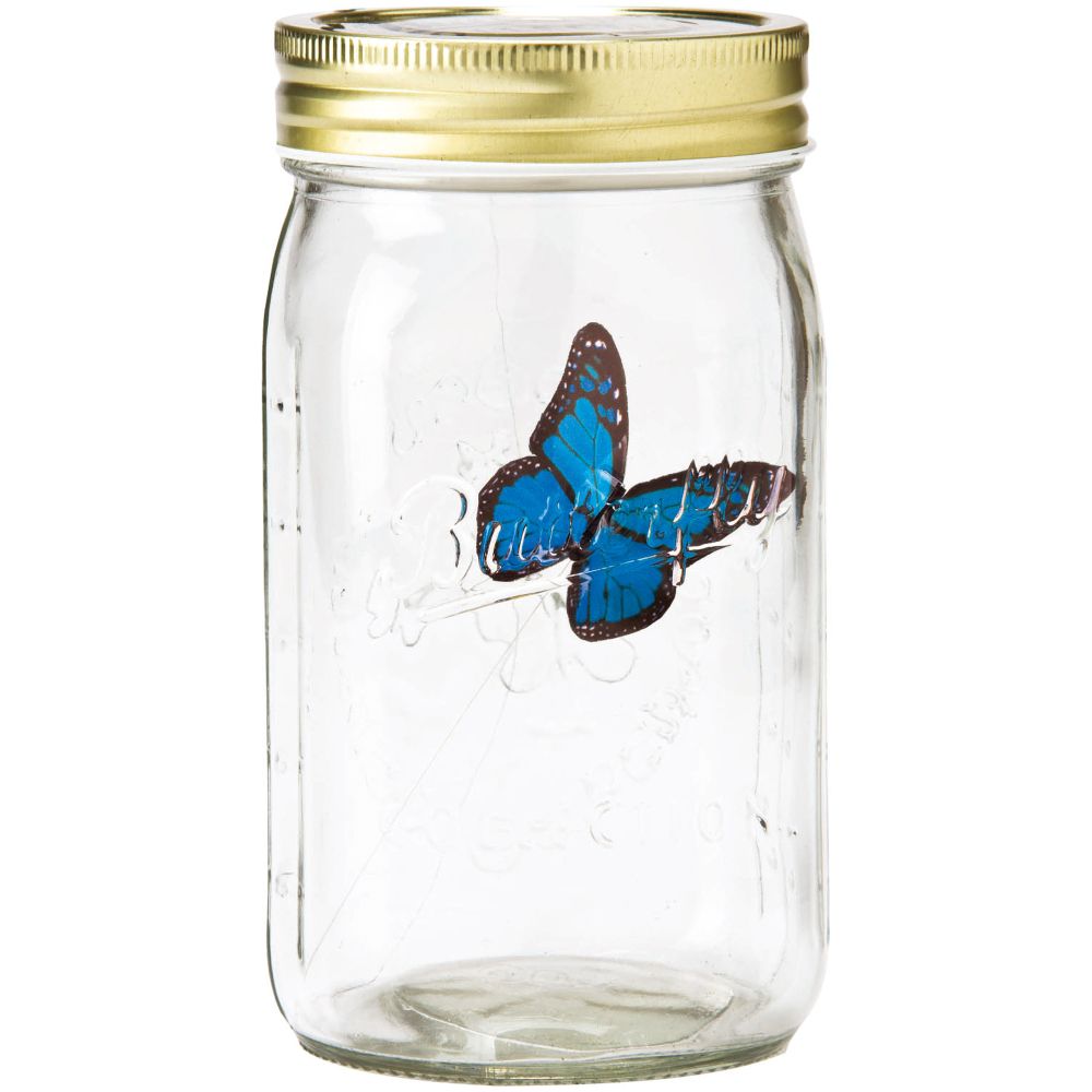 Animated My Butterfly In A Jar