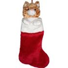 cat stocking