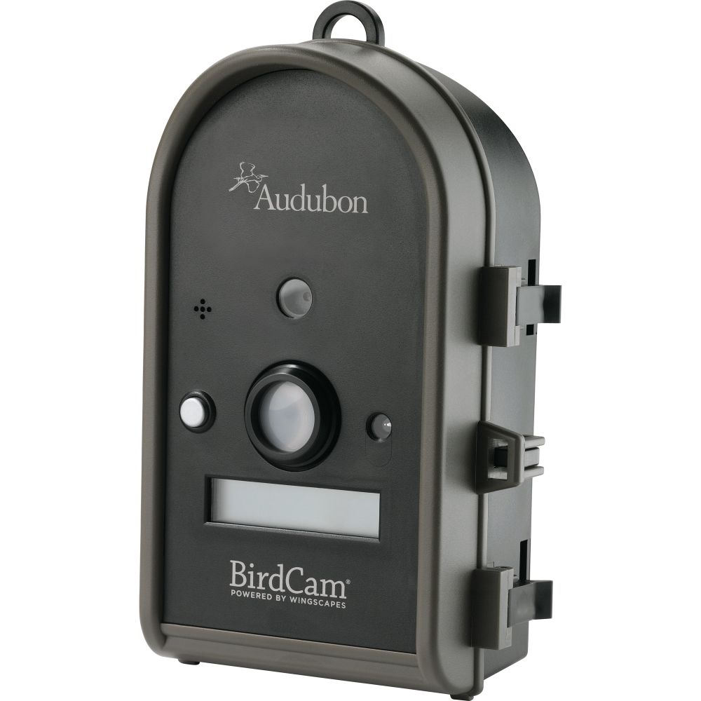 Wingscapes Audubon BirdCam