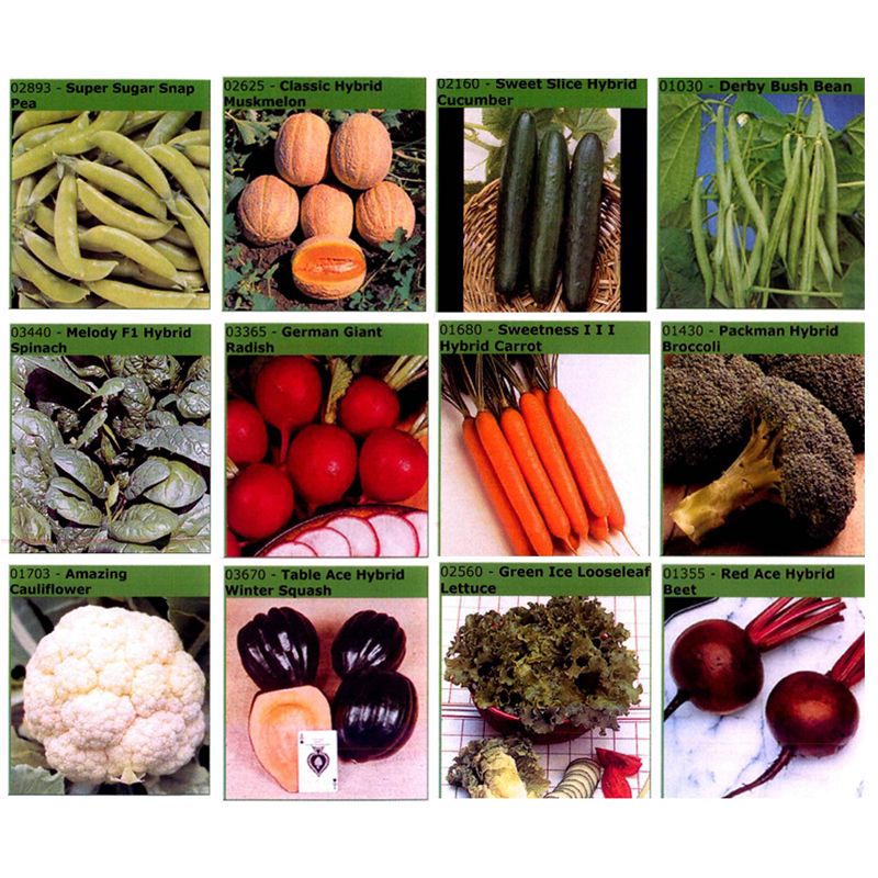 Seed Packets Favorite Gardening Seed Collection 12 Packets