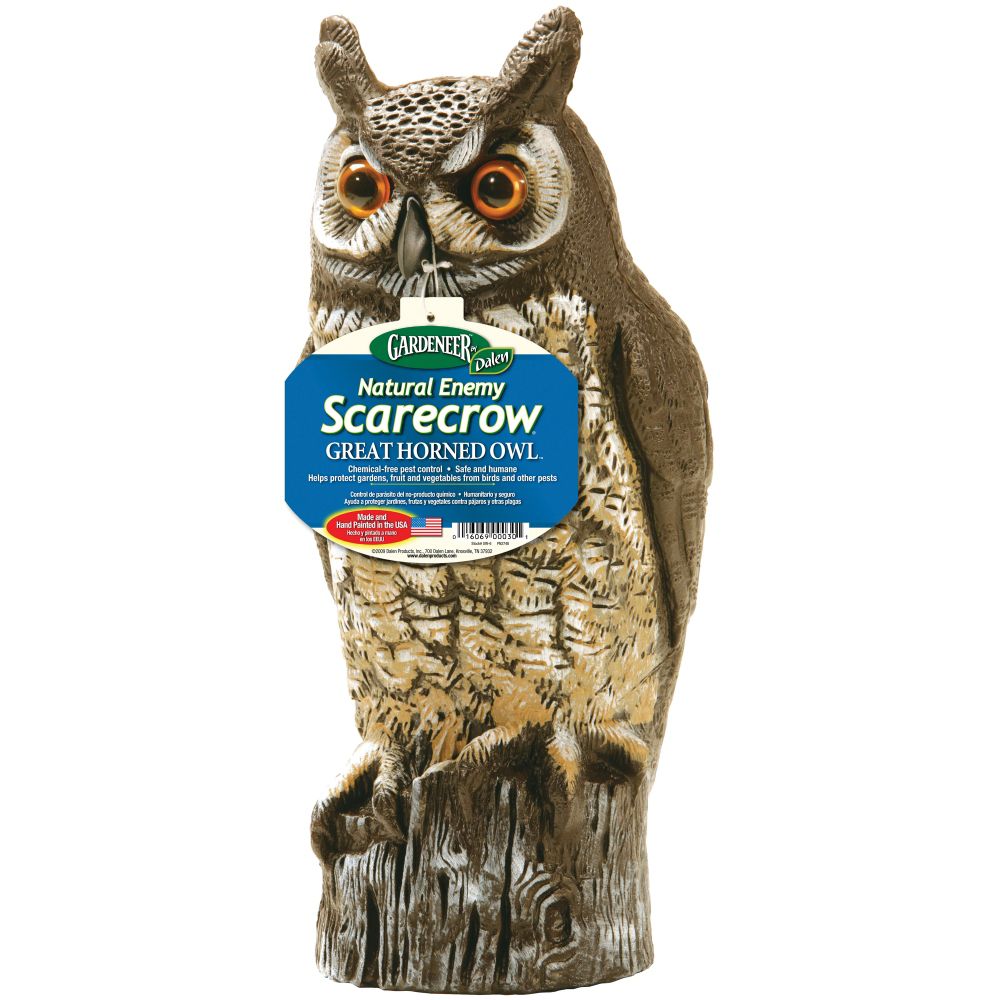 Dalen "16"" Molded Owl"
