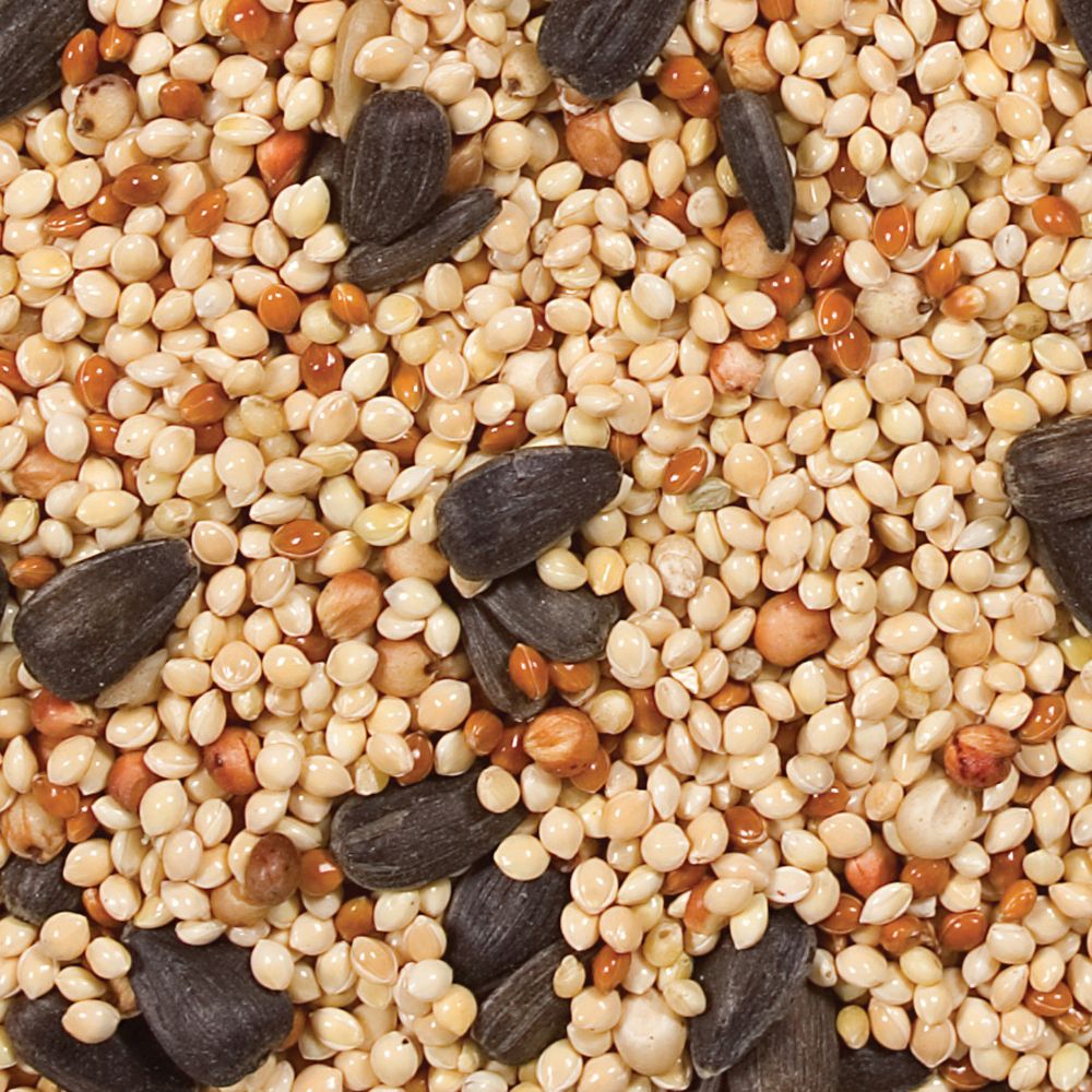Wild Delight 40# Buffet Wild Bird Food