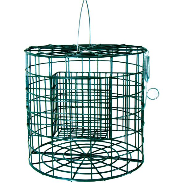 Duncraft Suet Sanctuary Feeder With Easy Clean Base