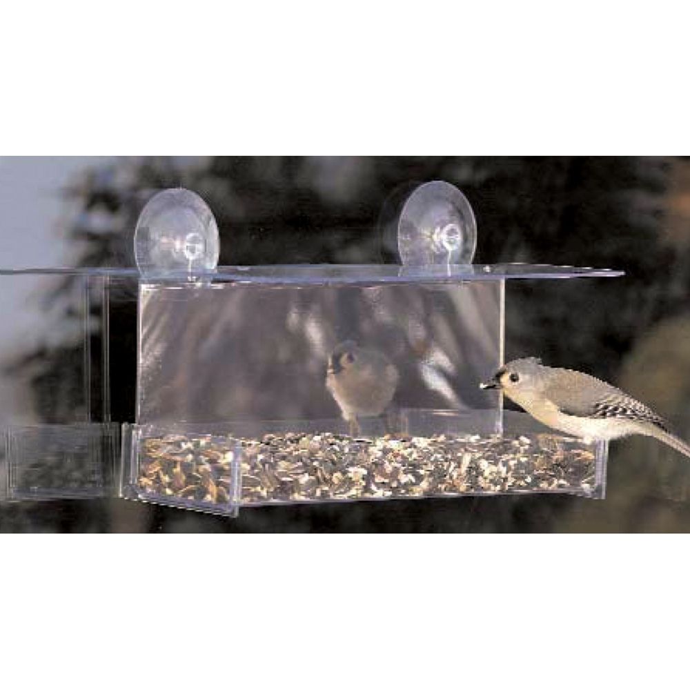 Duncraft Cardinal One Way Mirror Window Bird Feeder