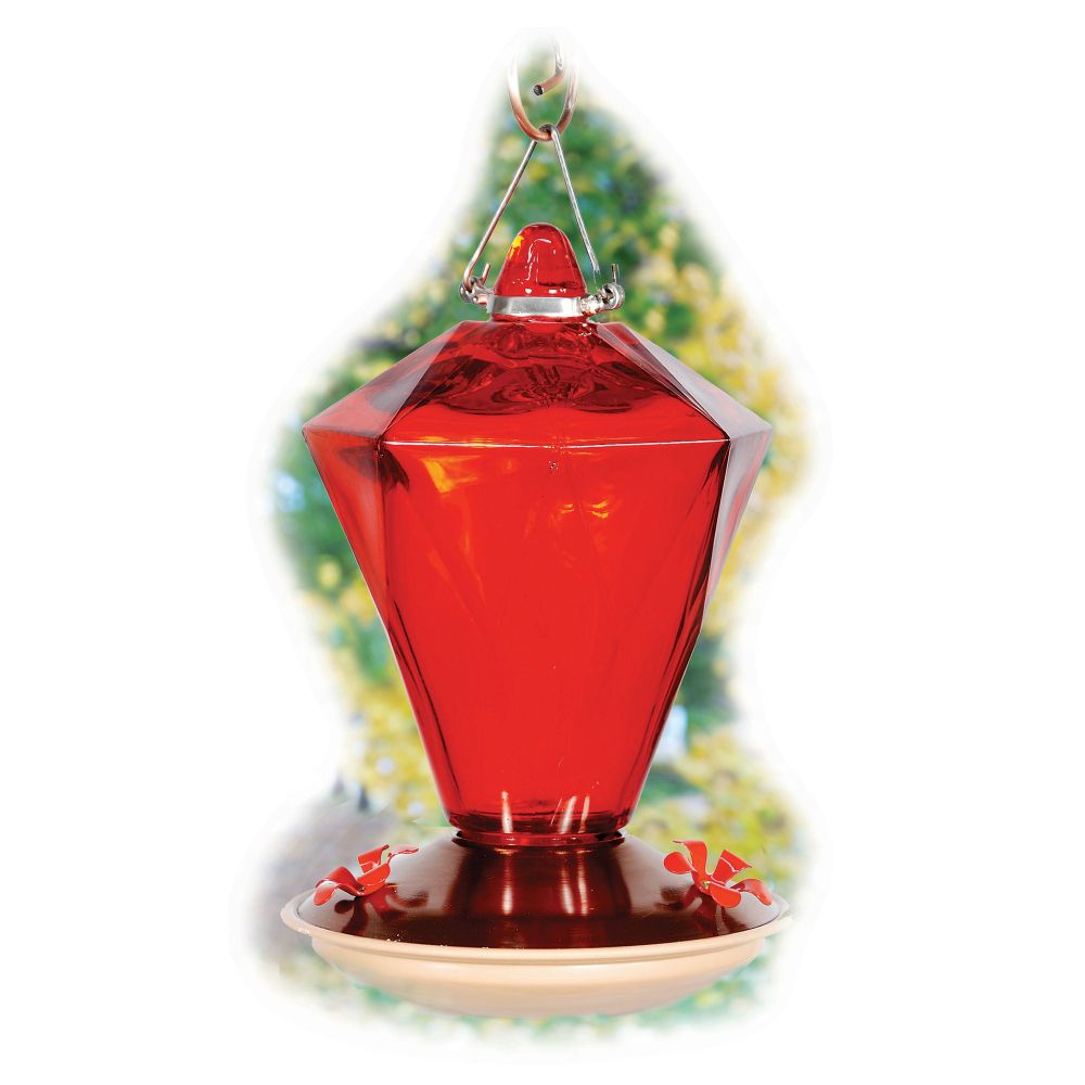 Audubon Ruby Diamond Glass Hummingbird