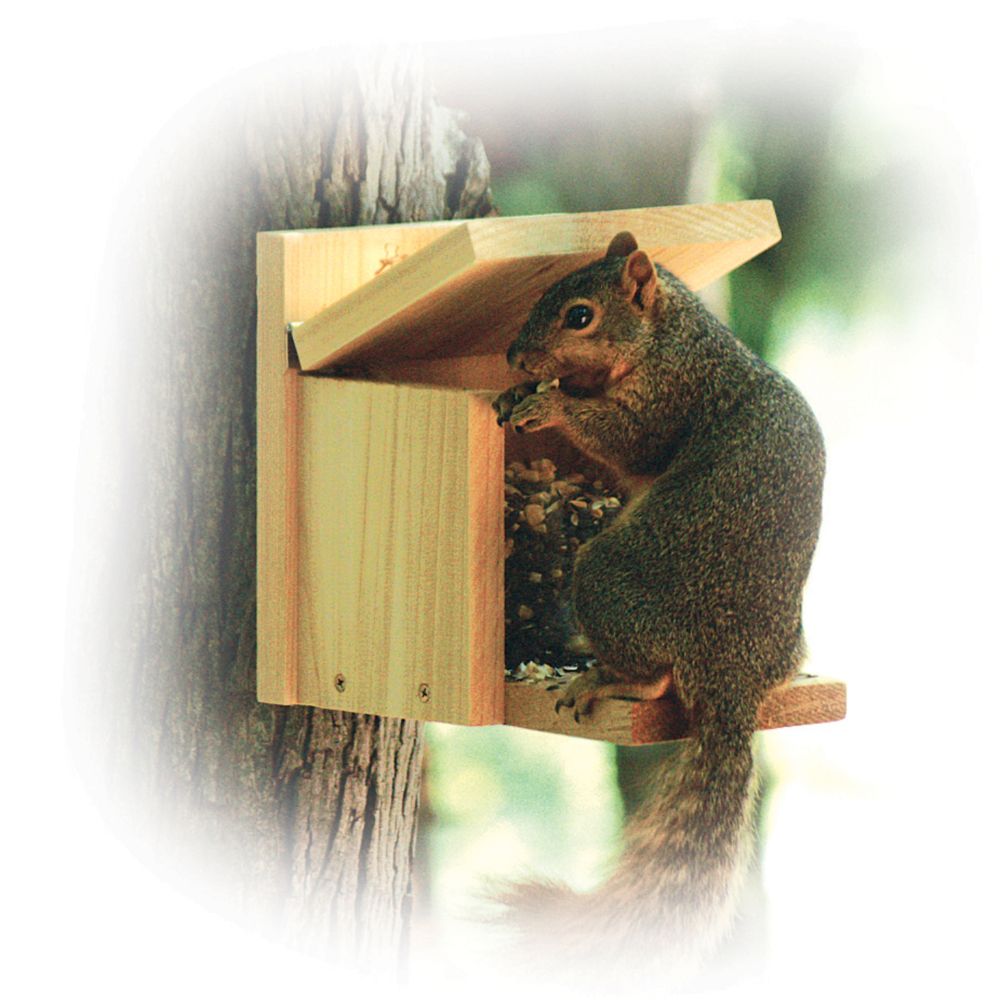 Woodlink Audubon Squirrel Munch Box 2qt Capacity