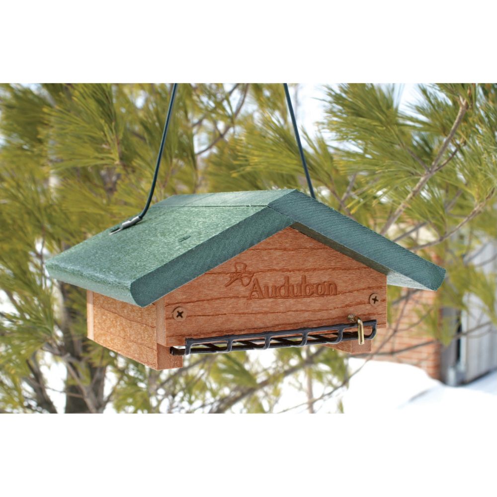 Woodlink Audubon Going Green Upside Down Suet Feeder