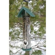 bird feeder