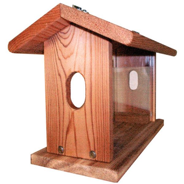 Stovall Bluebird Feeder with Hanging Chain