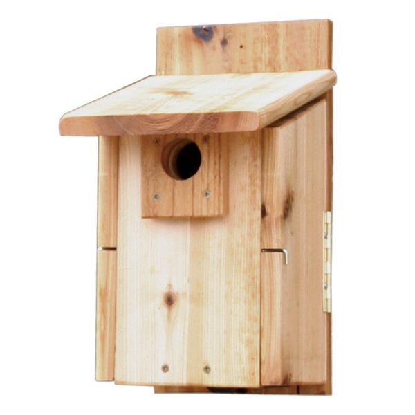 Stovall Western Mountain Bluebird House