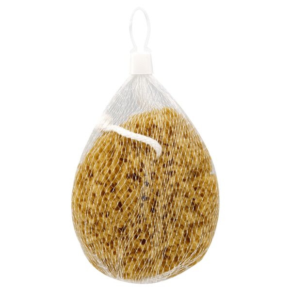 Body Image Body Benefits Sea Sponge, Faux, 1 sponge at Kmart.com