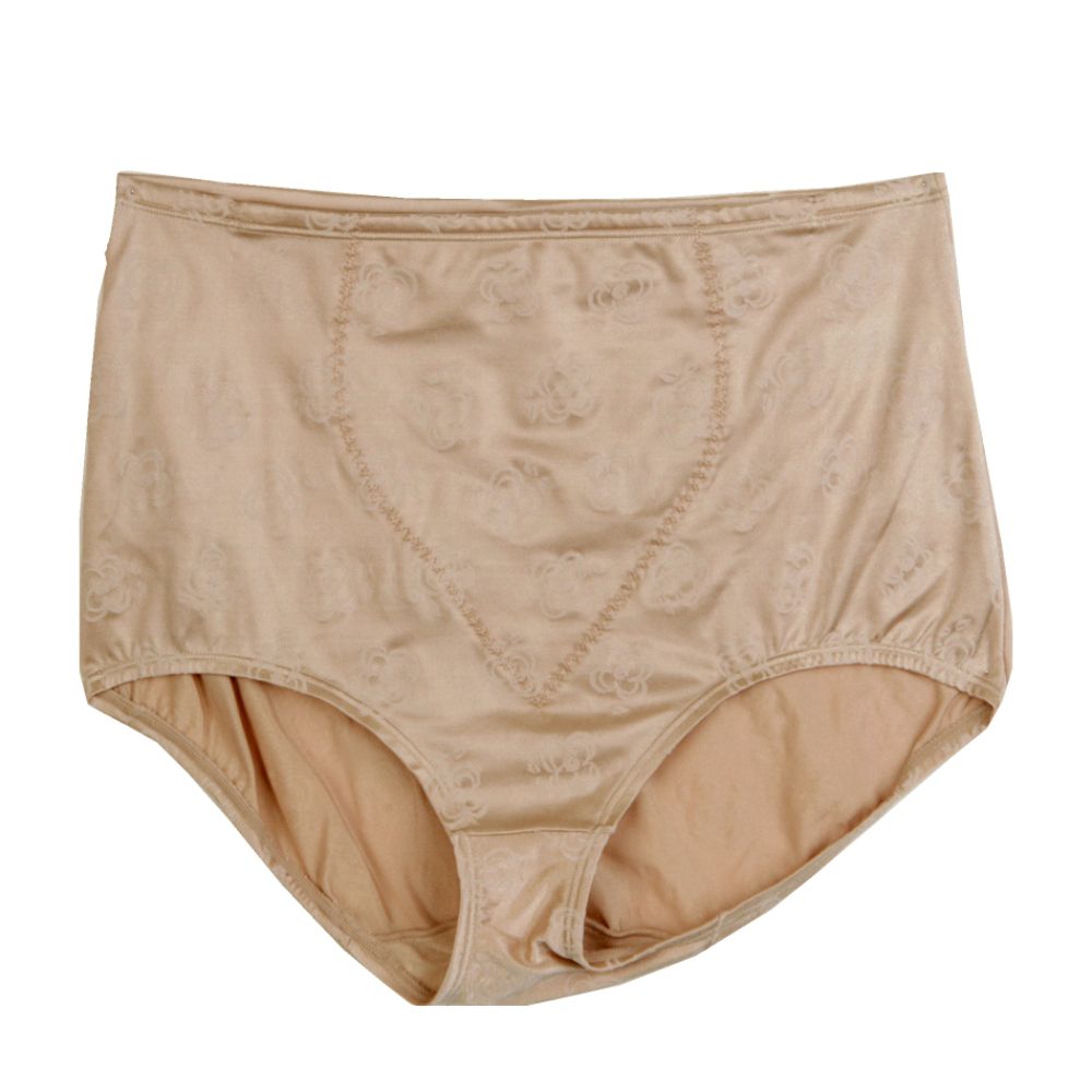 Great Price Women's Plus Deluster Panel Brief at Kmart.com