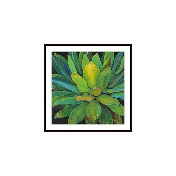 Agave ,framing: Black Wood, White Matte 246491S61