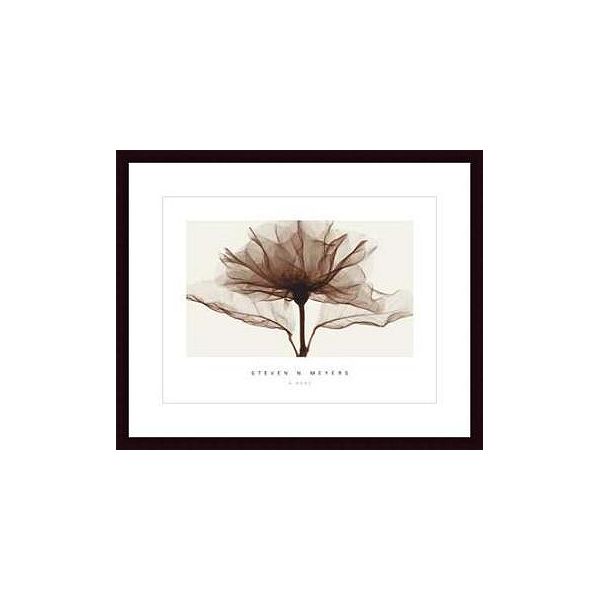 A Rose ,framing: Black Wood, White Matte 192429S61