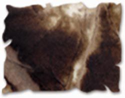 RANGER Tim Holtz Distress Ink Pad Walnut Stain