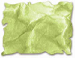 RANGER Tim Holtz Distress Ink Pad Peeled Paint