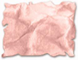 RANGER Tim Holtz Distress Ink Pad Tattered Rose