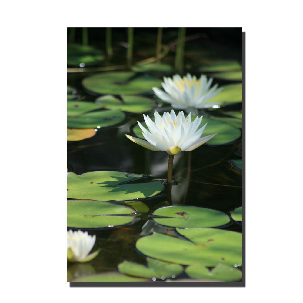 Trademark Art 22x32 inches "Lovely Lillies" by Patty Tuggle