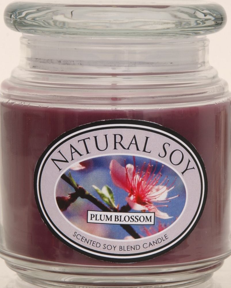 Hanna's Candles Natural Soy Scented Soy Candle Plum Blossom