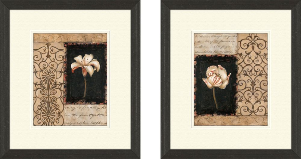 PTM Images NIGHT FLORESCENCE